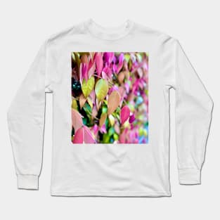 Autumn/Fall colours II Long Sleeve T-Shirt